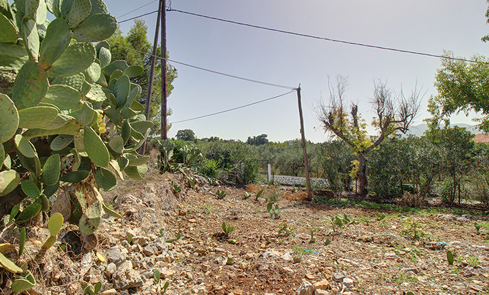 CORNER PLOT FOR COMMERCIAL OR RESIDENTIAL USE