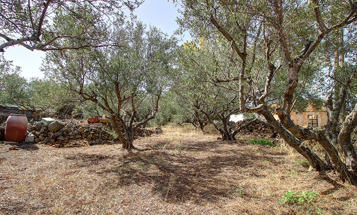 CORNER PLOT IN THE CENTRE OF KOKKINO CHORIO