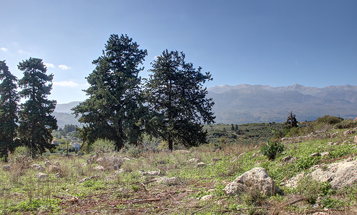 ΜΕ ΥΨΗΛΑ ΠΕΡΙΘΩΡΙΑ ΚΕΡΔΟΥΣ ΜΕΤΑΠΩΛΗΣΗΣ ΟΙΚΙΩΝ
