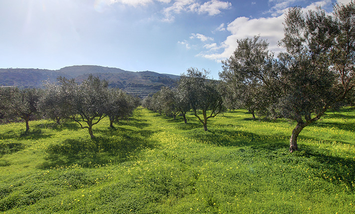 ΑΨΟΓΗ ΤΟΠΟΘΕΤΗΣΗ ΧΡΗΜΑΤΩΝ ΚΟΝΤΑ ΣΤΟ ΚΕΝΤΡΟ