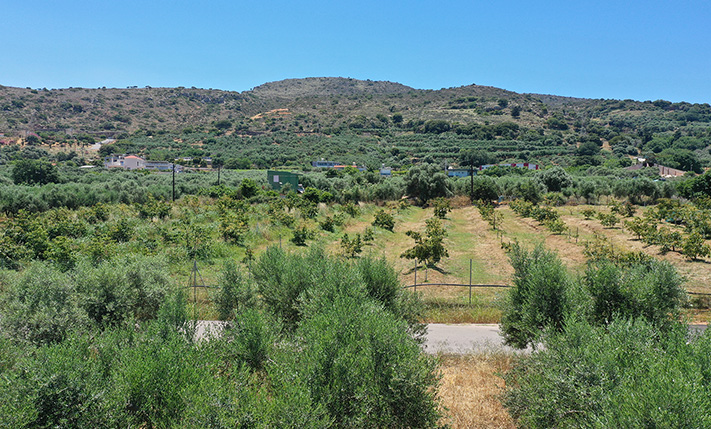 ΑΨΟΓΗ ΤΟΠΟΘΕΤΗΣΗ ΧΡΗΜΑΤΩΝ ΚΟΝΤΑ ΣΤΟ ΚΕΝΤΡΟ