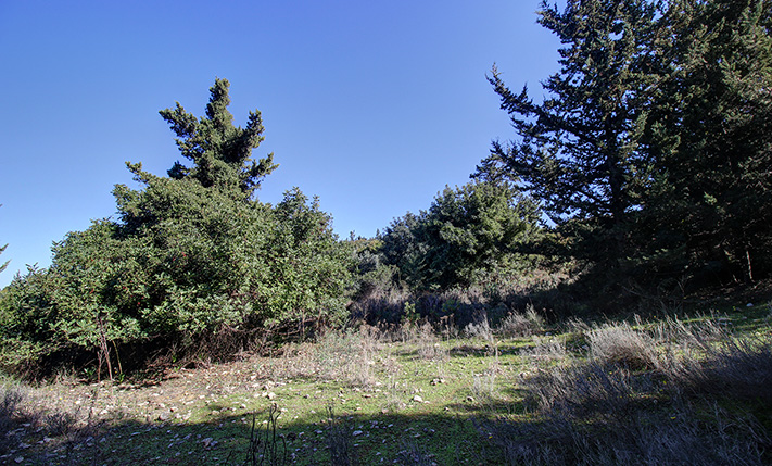 LUXURIOUS & SPLIT IN TERRACES WITH SEA VIEWS