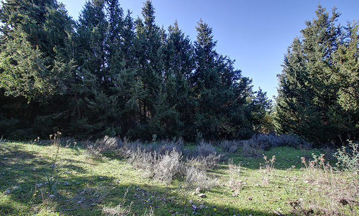 LUXURIOUS & SPLIT IN TERRACES WITH SEA VIEWS