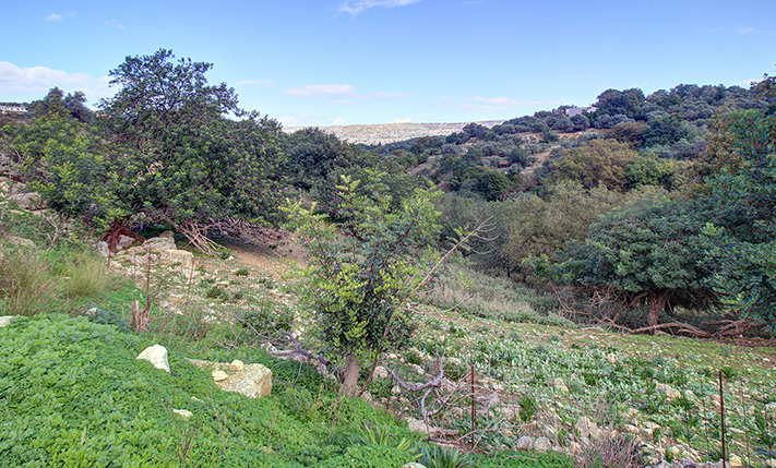 EAST-FACING LAND FOR RESIDENTIAL DEVELOPMENT