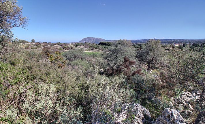 TRANQUIL LOCATION AND VESTAL SURROUNDINGS