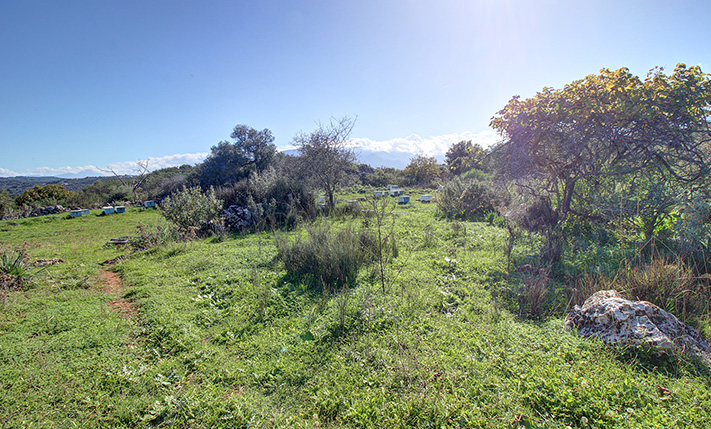 TRANQUIL LOCATION AND VESTAL SURROUNDINGS