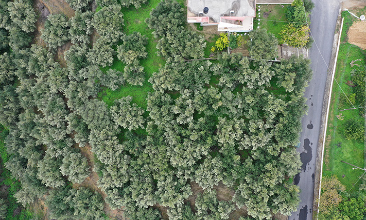 SLIGHTLY SLOPED WEST-FACING LAND WITH VIEWS