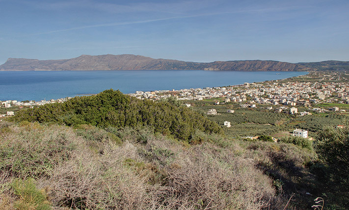 ΕΠΙΚΛΙΝΗΣ ΕΛΑΙΩΝΑΣ ΜΕ ΕΝΤΥΠΩΣΙΑΚΗ ΘΕΑ