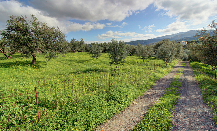 EXCELLENT PLOT AT A LOW PRICE