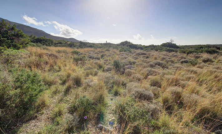 PARCEL WITH SEA VIEWS NEXT TO CHRISOSKALITISSA