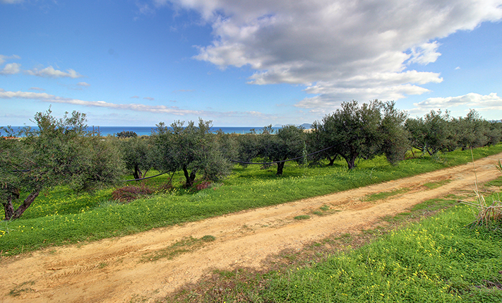 ΗΠΙΑ ΒΟΡΕΙΑ ΚΛΙΣΗ & ΑΝΕΜΠΟΔΙΣΤΗ ΘΕΑ