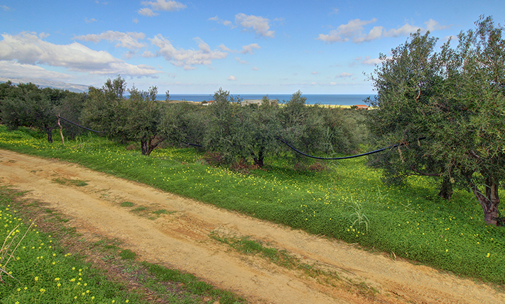 ΗΠΙΑ ΒΟΡΕΙΑ ΚΛΙΣΗ & ΑΝΕΜΠΟΔΙΣΤΗ ΘΕΑ