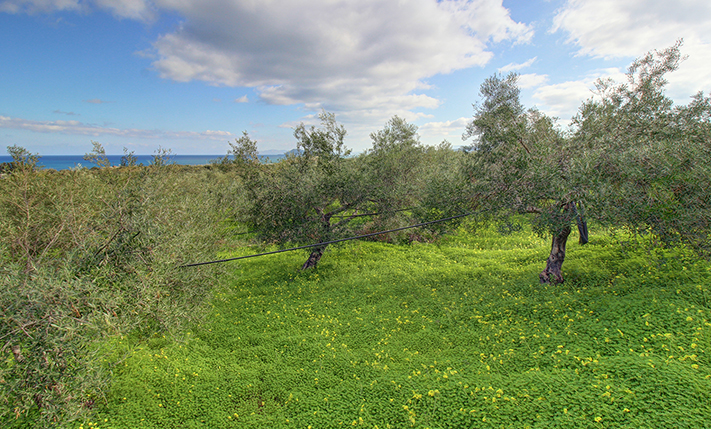NORTH FACING LAND WITH UNOBSTRUCTED SEA VIEWS