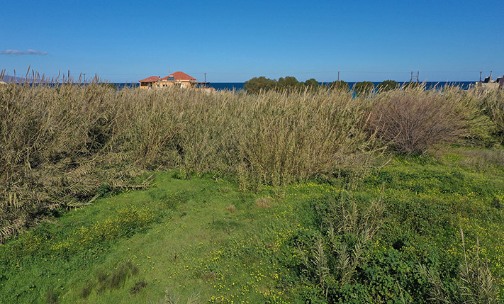 ΚΟΝΤΑ ΣΤΗ ΘΑΛΑΣΣΑ ΜΕ ΑΔΕΙΑ ΓΙΑ ΔΥΟ ΚΑΤΟΙΚΙΕΣ