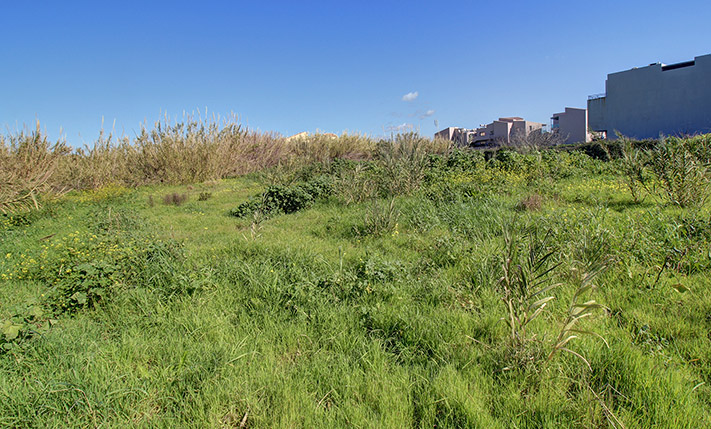 ΚΟΝΤΑ ΣΤΗ ΘΑΛΑΣΣΑ ΜΕ ΑΔΕΙΑ ΓΙΑ ΔΥΟ ΚΑΤΟΙΚΙΕΣ
