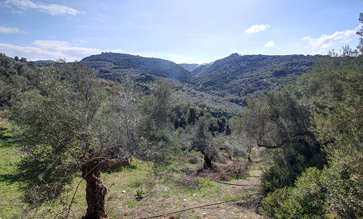 TERRACED LAND SECLUDED IN NATURE