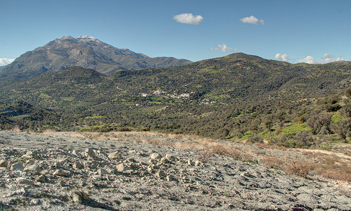 2 AGRICULTURAL PARCELS IN THE COUNTRYSIDE