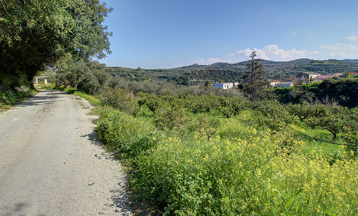 ΚΑΛΟ ΣΧΗΜΑ & ΘΕΑ ΣΕ ΜΙΑ ΠΡΑΣΙΝΗ ΚΟΙΛΑΔΑ