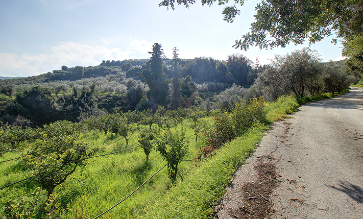 ΚΑΛΟ ΣΧΗΜΑ & ΘΕΑ ΣΕ ΜΙΑ ΠΡΑΣΙΝΗ ΚΟΙΛΑΔΑ