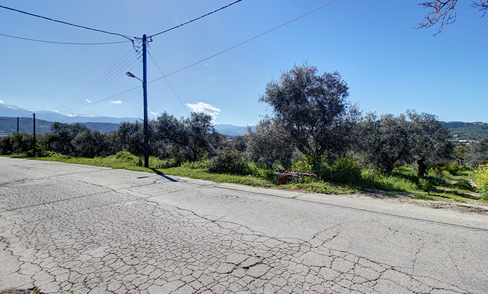 ΜΕ ΜΕΓΑΛΗ ΟΨΗ, ΚΑΤΑΛΛΗΛΟ & ΓΙΑ ΕΜΠΟΡΙΚΗ ΧΡΗΣΗ