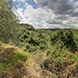 PLS1533 - εικόνα 2 PLS1533 - εικόνα 2