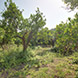 PLS1571 - image 6 PLS1571 - image 6