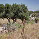 PLS1597 - image 7 PLS1597 - image 7
