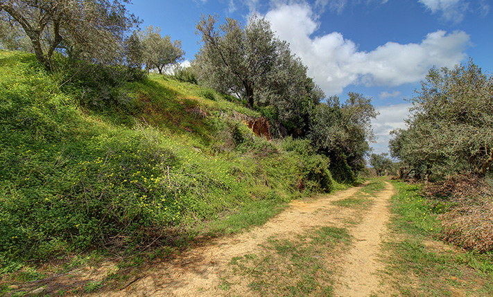 ΕΝΤΥΠΩΣΙΑΚΗ ΘΕΑ ΣΕ ΣΥΜΦΕΡΟΥΣΑ ΤΙΜΗ