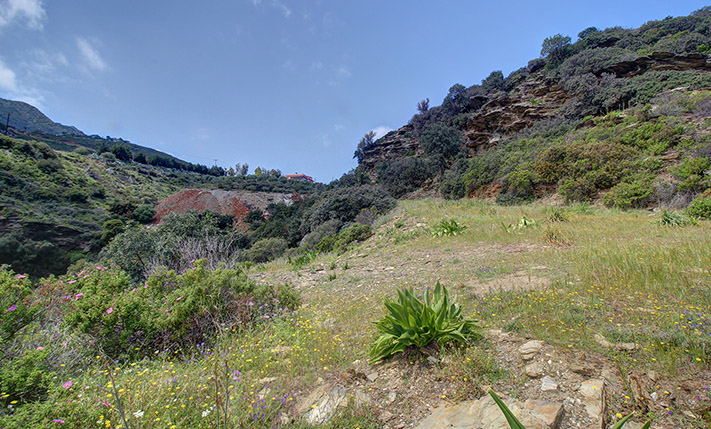 2 ADJACENT DEVELOPMENT PLOTS WITH SEA VIEWS