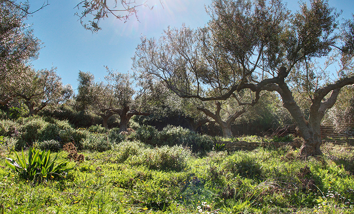 ΒΟΡΕΙΑ ΚΛΙΣΗ & ΑΝΕΜΠΟΔΙΣΤΗ ΘΕΑ ΣΤΗ ΘΑΛΑΣΣΑ