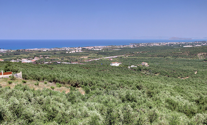 2 ΠΑΡΑΚΕΙΜΕΝΑ ΟΙΚΟΠΕΔΑ ΜΕ ΘΕΑ & ΥΨΗΛΗ ΔΟΜΗΣΗ