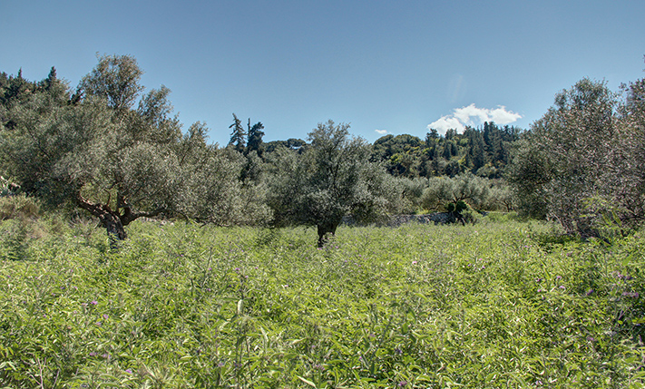 TRANQUILITY & PRIVACY BUT CLOSE TO AMENITIES