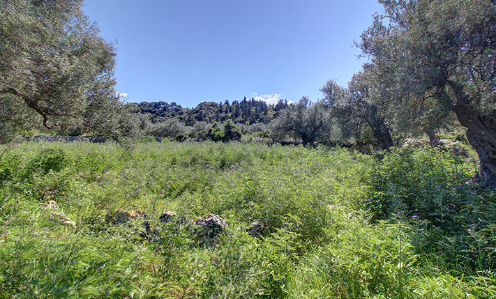 TRANQUILITY & PRIVACY BUT CLOSE TO AMENITIES