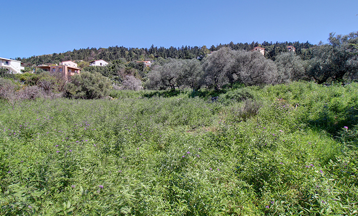 ΗΣΥΧΙΑ & ΙΔΙΩΤΙΚΟΤΗΤΑ, ΑΛΛΑ ΚΟΝΤΑ ΣΕ ΟΙΚΙΣΜΟ