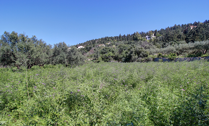 ΗΣΥΧΙΑ & ΙΔΙΩΤΙΚΟΤΗΤΑ, ΑΛΛΑ ΚΟΝΤΑ ΣΕ ΟΙΚΙΣΜΟ