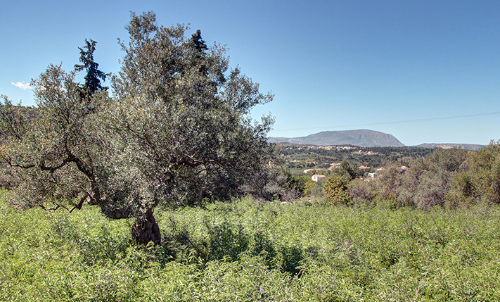 ΗΣΥΧΙΑ & ΙΔΙΩΤΙΚΟΤΗΤΑ, ΑΛΛΑ ΚΟΝΤΑ ΣΕ ΟΙΚΙΣΜΟ