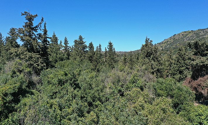 ΚΑΤΑΣΚΕΥΑΣΤΙΚΟ ΟΙΚΟΠΕΔΟ ΜΕ ΗΠΙΑ ΔΥΤΙΚΗ ΚΛΙΣΗ