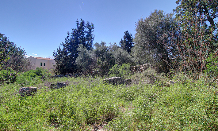 DEVELOPMENT LAND ON A MILD WEST-FACING SLOPE