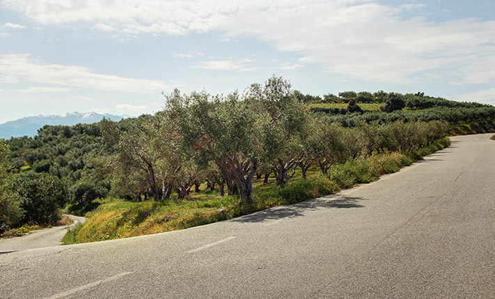 ΣΕ ΚΟΡΥΦΟΓΡΑΜΜΗ ΜΕ ΘΕΑ ΣΕ ΑΝΑΤΟΛΗ & ΔΥΣΗ