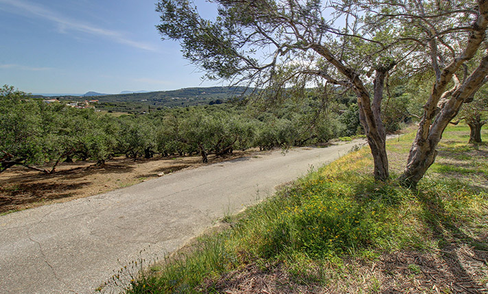 LAND ON A RIDGE WITH EAST & WEST FACING VIEWS