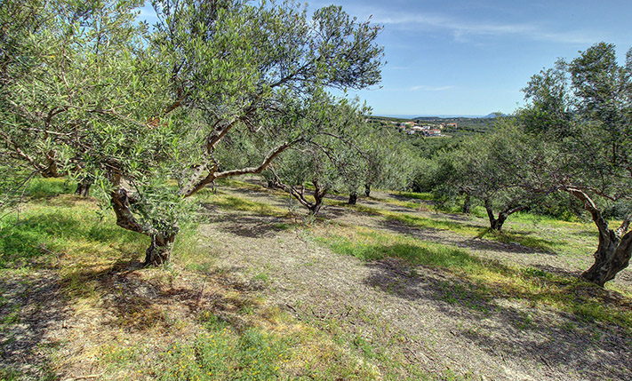ΣΕ ΚΟΡΥΦΟΓΡΑΜΜΗ ΜΕ ΘΕΑ ΣΕ ΑΝΑΤΟΛΗ & ΔΥΣΗ