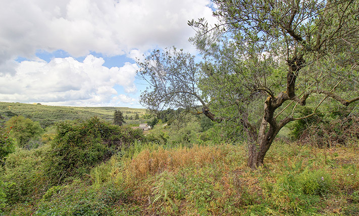 WOHNGRUNDSTÜCK FÜR KOMPLEX MIT MEERBLICK