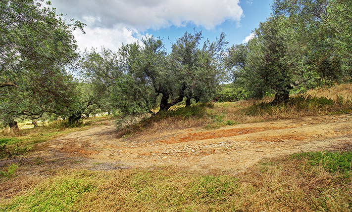 RESIDENTIAL PARCEL FOR A COMPLEX WITH SEA VIEWS