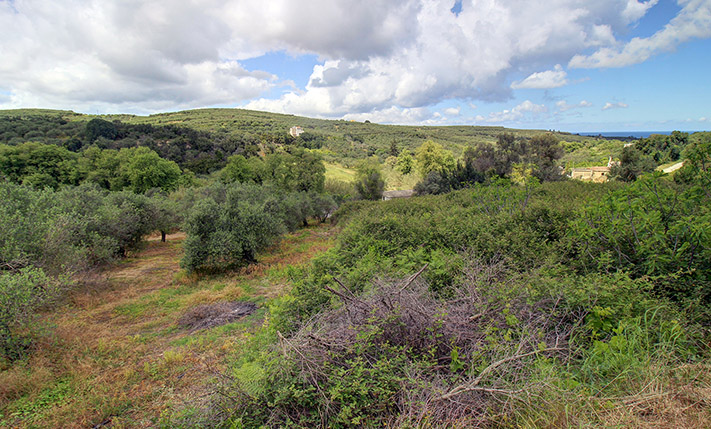 RESIDENTIAL PARCEL FOR A COMPLEX WITH SEA VIEWS