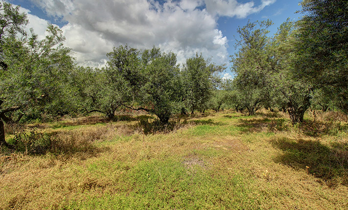 RESIDENTIAL PARCEL FOR A COMPLEX WITH SEA VIEWS