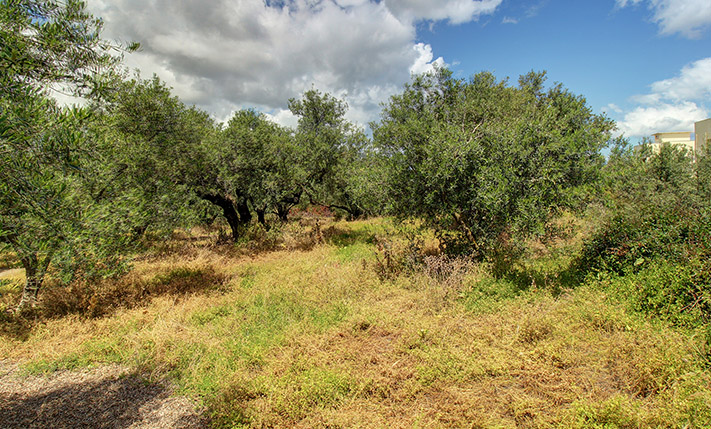 RESIDENTIAL PARCEL FOR A COMPLEX WITH SEA VIEWS