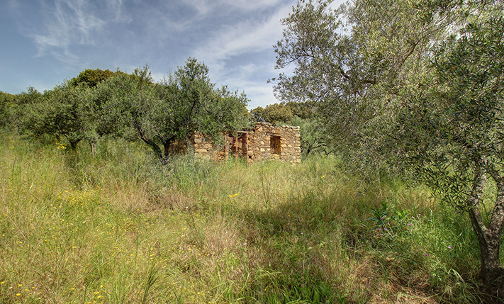ON THE ROAD TO ELAFONISI AMONG LUSH HILLS
