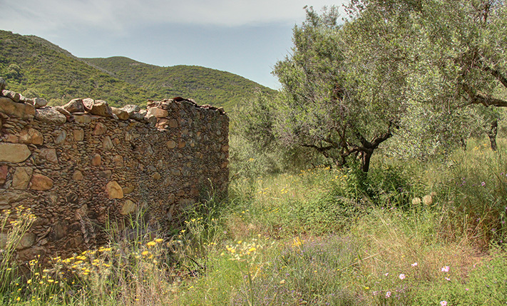 ON THE ROAD TO ELAFONISI AMONG LUSH HILLS