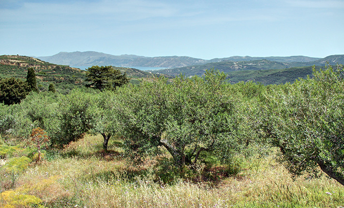 ΑΠΕΥΘΕΙΑΣ ΘΕΑ ΘΑΛΑΣΣΑ ΑΠΟ ΠΛΑΓΙΑ ΜΕ ΗΠΙΑ ΚΛΙΣΗ