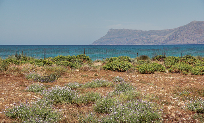 ΠΡΩΤΟ ΣΤΗ ΘΑΛΑΣΣΑ & ΣΕ ΑΜΜΩΔΗ ΠΑΡΑΛΙΑ